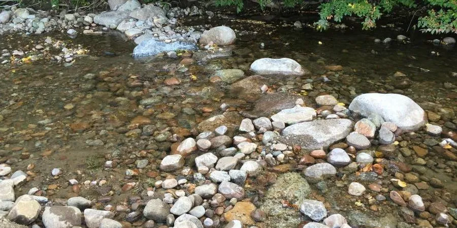 Competencia de Flujo